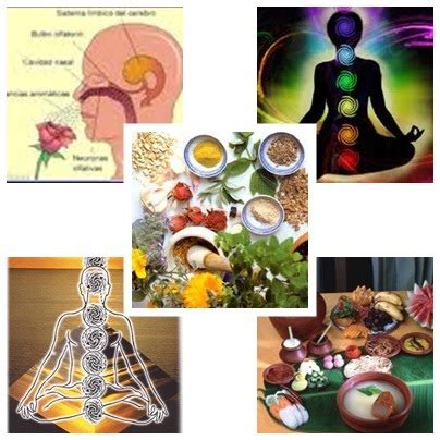 medicina holistica meaning