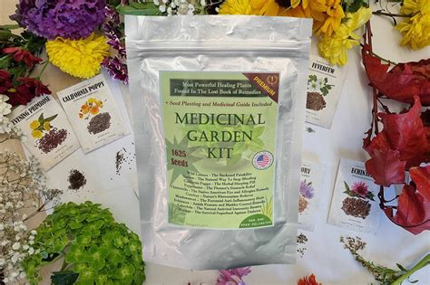 Medicinal Garden Seed Kit Etsy