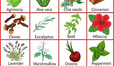 Medicinal Plants Name In English