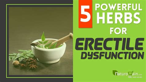 medicinal herbs for erectile dysfunction