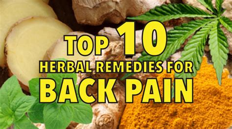 medicinal herbs for pain