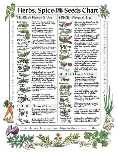 medicinal herbs list pdf