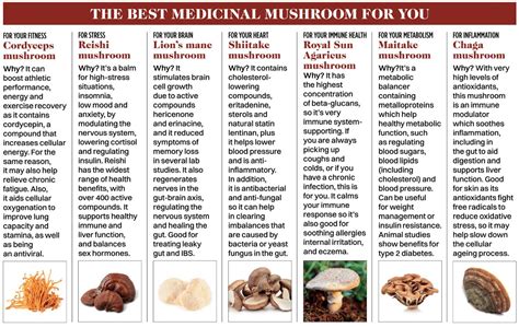 medicinal mushroom benefits chart