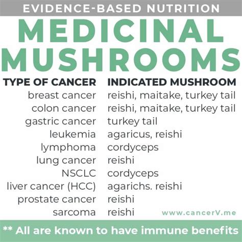 medicinal mushrooms for cancer treatment
