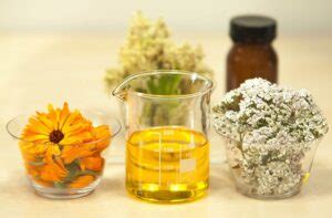 medicinal plant chemistry degree courses
