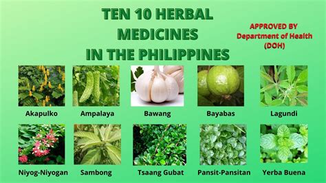 medicinal plants in the philippines list