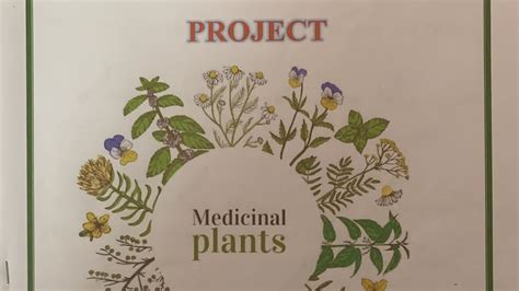 medicinal plants introduction for project