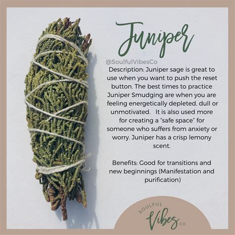 medicinal properties of juniper