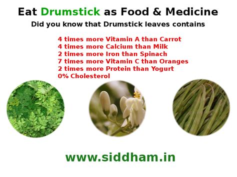 Medicinal Uses Of Drumstick