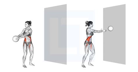 Medicine Ball Throw Description