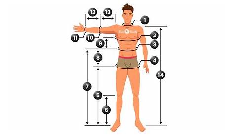 Ejercicio 6, Medidas del cuerpo humano