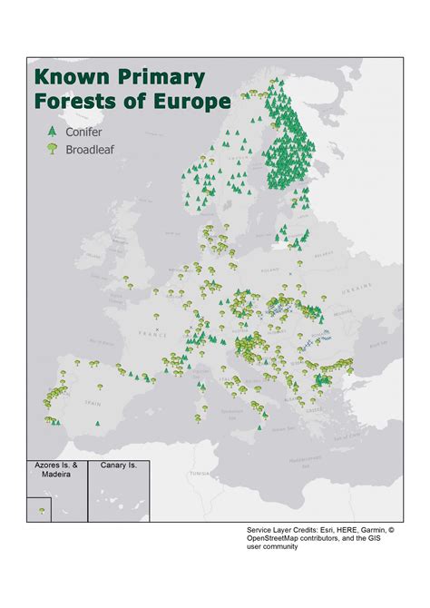 medieval dynasty tree regrowth