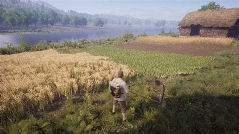 Unlock the Secrets of Medieval Farming: Ultimate Guide to Timeless Techniques