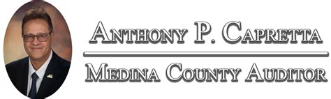 medina county auditor search