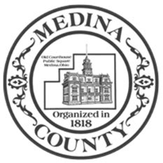 medina county domestic local rules