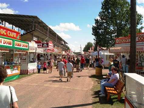 medina ohio county fair