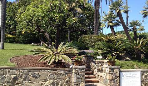 Meditation Gardens Encinitas The At Srf California
