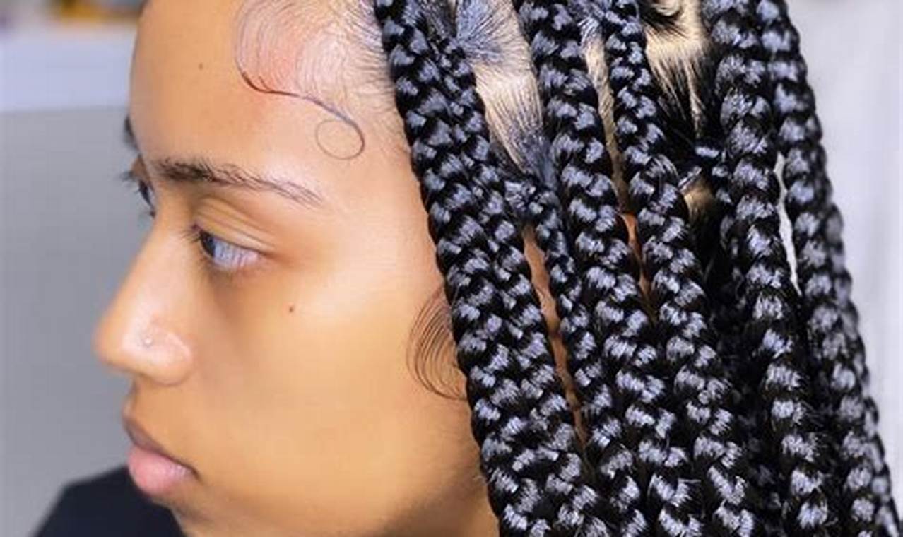 Uncover the Allure of Medium Large Knotless Braids with Color: Discoveries and Insights