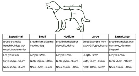 Medium Dog Coat Size