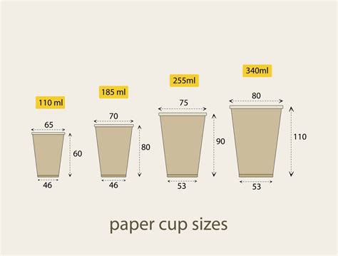 Medium Paper Cup Size