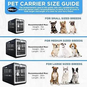 Medium Pet Carrier Dimensions