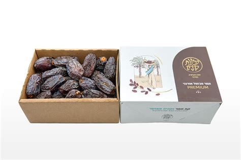 Medjool Dates First Trimester