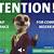 meerkat insurance sign in - compare the market | get 2 for 1 meerkat meals and movies