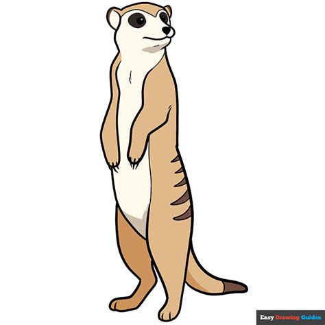 Meerkat Drawing