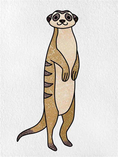 Meerkat Drawing at GetDrawings Free download