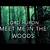 meet me in the woods lyrics meaning