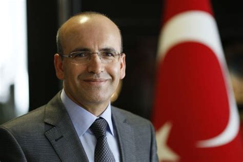 mehmet simsek cv