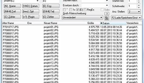 Mehrere Dateien umbenennen in Windows ohne Extra-Programm | Tippscout.de