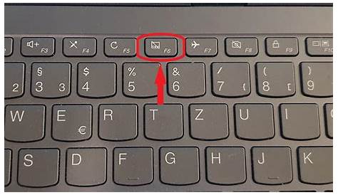 Maus am Laptop funktioniert nicht - TECH-FLARE
