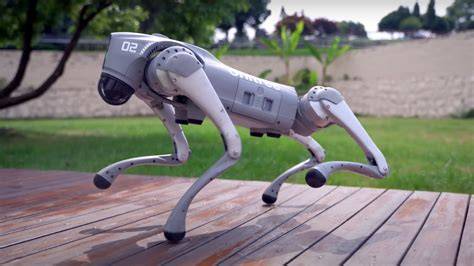 Perro robot la guía comparativa de los mejores en 2019