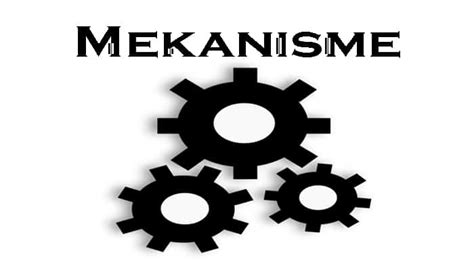 √ Mekanisme Pernafasan Manusia Beserta Proses dan Jenisnya