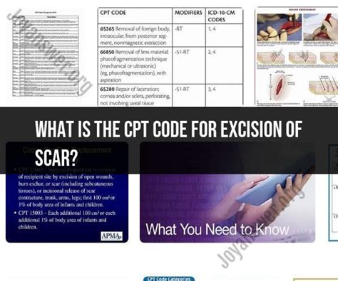 Melanoma Excision Cpt Code