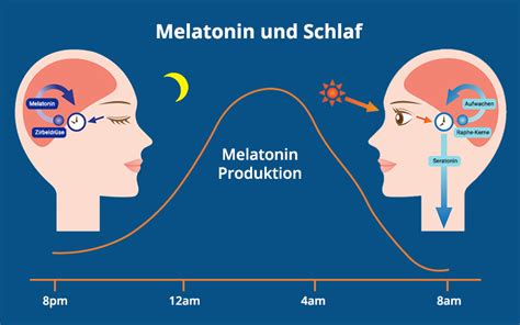 melatonin deutsch