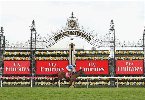 melbourne cup field 2022 winner