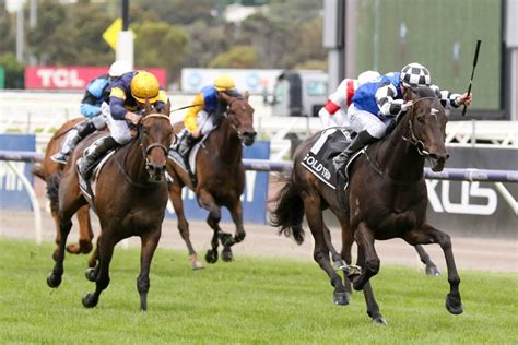 melbourne cup race 7 results