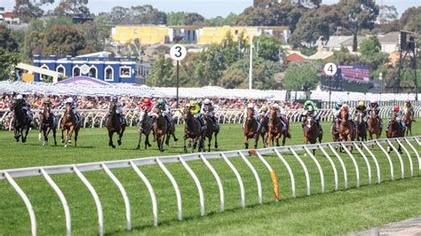 melbourne cup race card