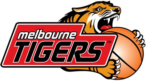 melbourne tigers basketball club