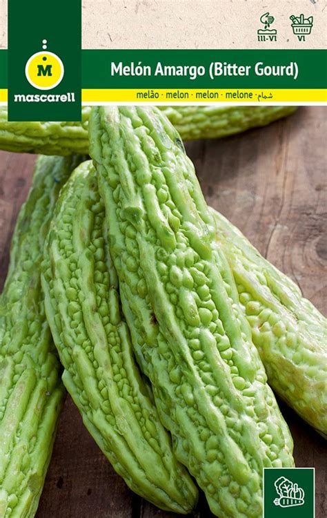 Melon Amer Constipation