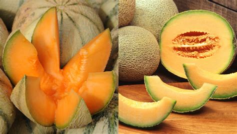 Melon And Muskmelon Difference
