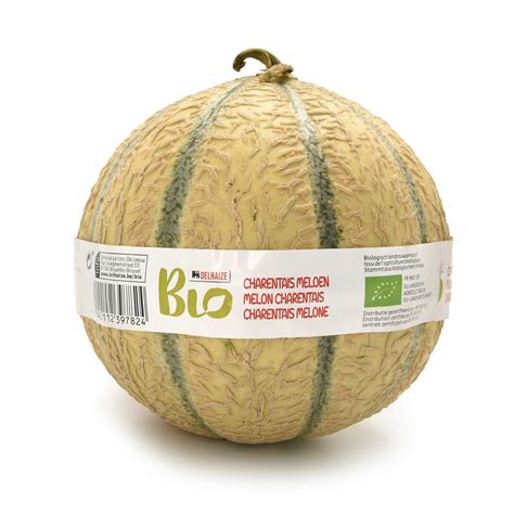 Melon Charentais Nutrition