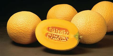 Melon De Oro Fruta