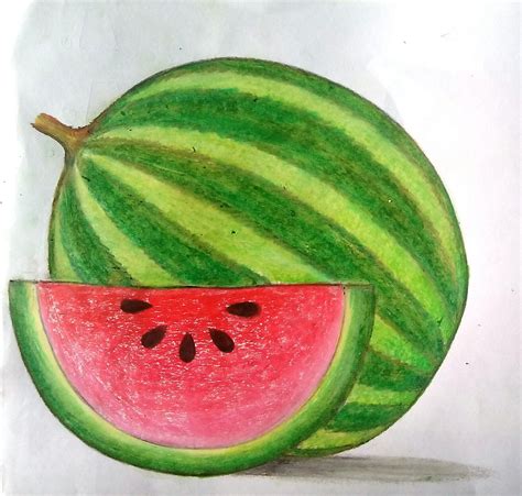 Melon Drawing Art