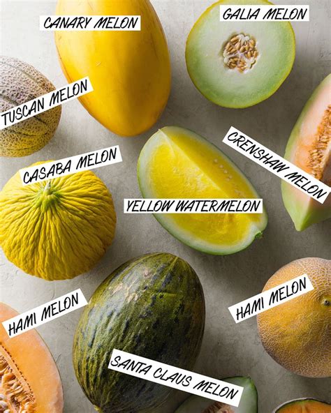 Melon Origin Of The Word