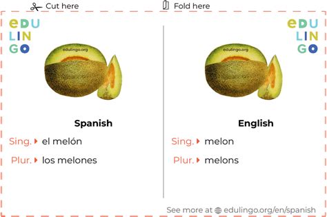 Melon Spanish Definition