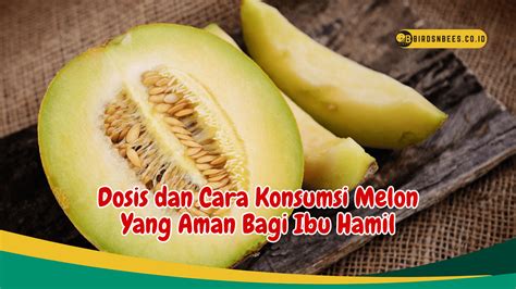 Melon Untuk Ibu Hamil