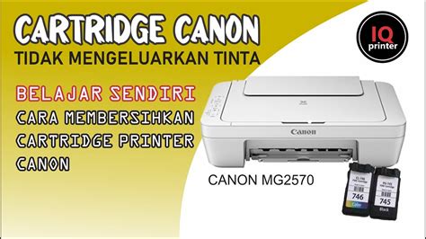 Membersihkan Cartridge Printer Canon MG2570